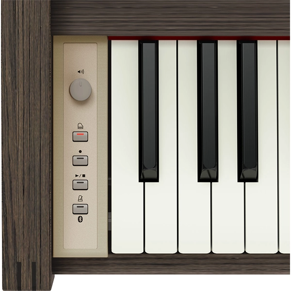 Music City – Tổng Kho Piano, Guitar, Organ | Dịch Vụ Giáo Dục Âm Nhạc