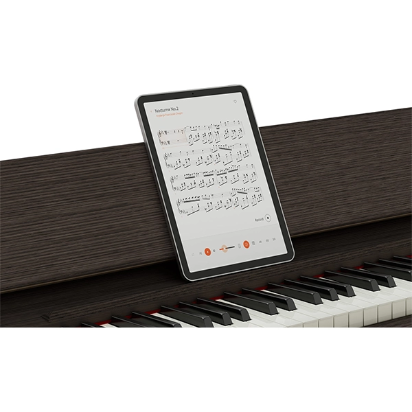 Music City – Tổng Kho Piano, Guitar, Organ | Dịch Vụ Giáo Dục Âm Nhạc