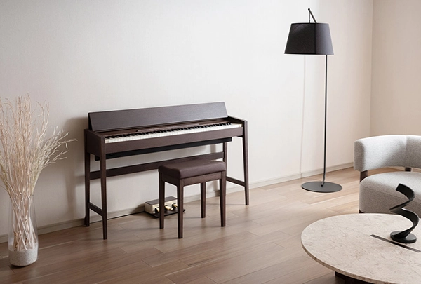 Music City – Tổng Kho Piano, Guitar, Organ | Dịch Vụ Giáo Dục Âm Nhạc