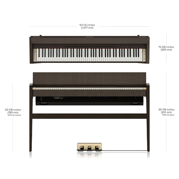 Music City – Tổng Kho Piano, Guitar, Organ | Dịch Vụ Giáo Dục Âm Nhạc